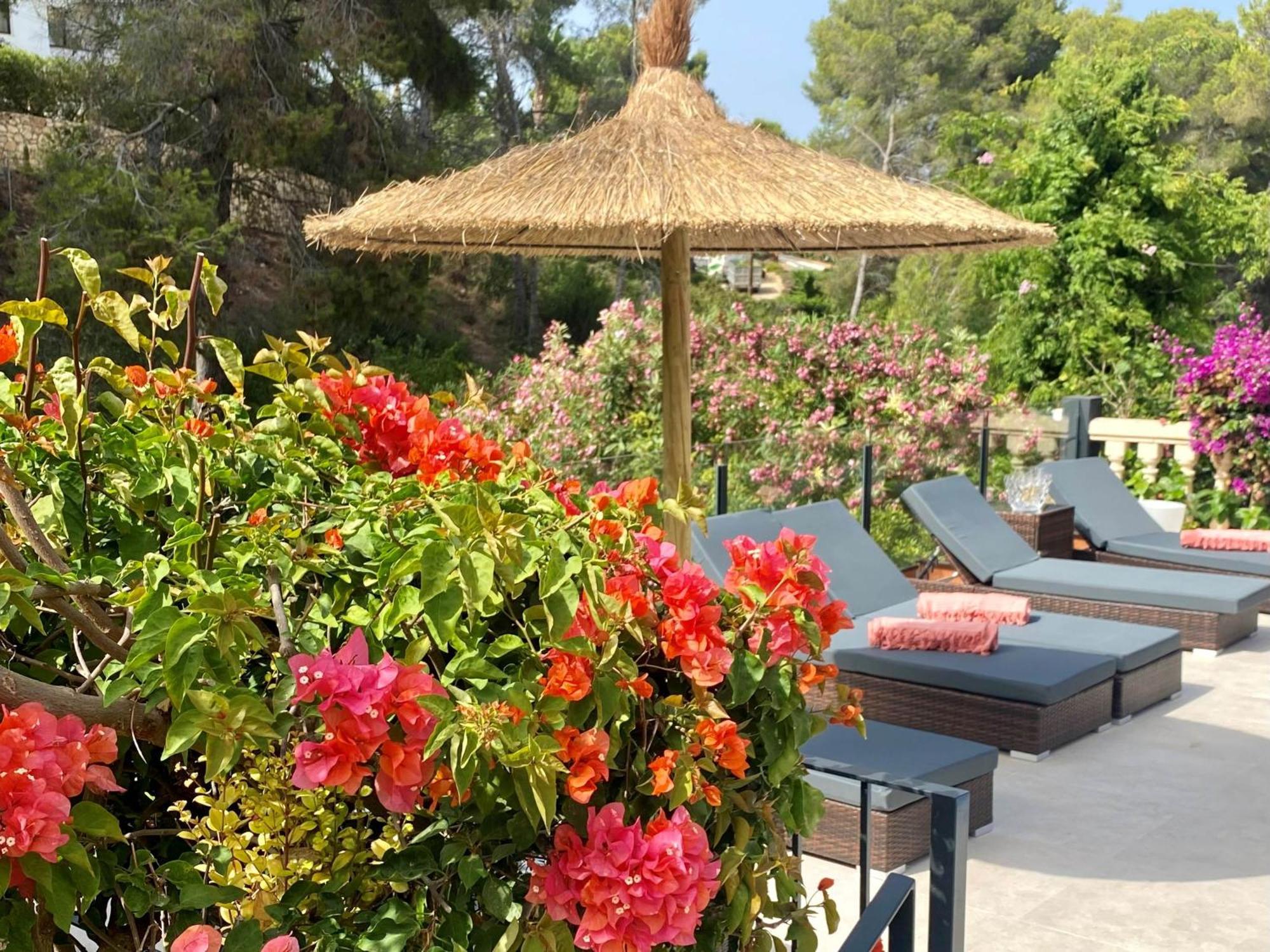 Palmera Jávea Екстериор снимка