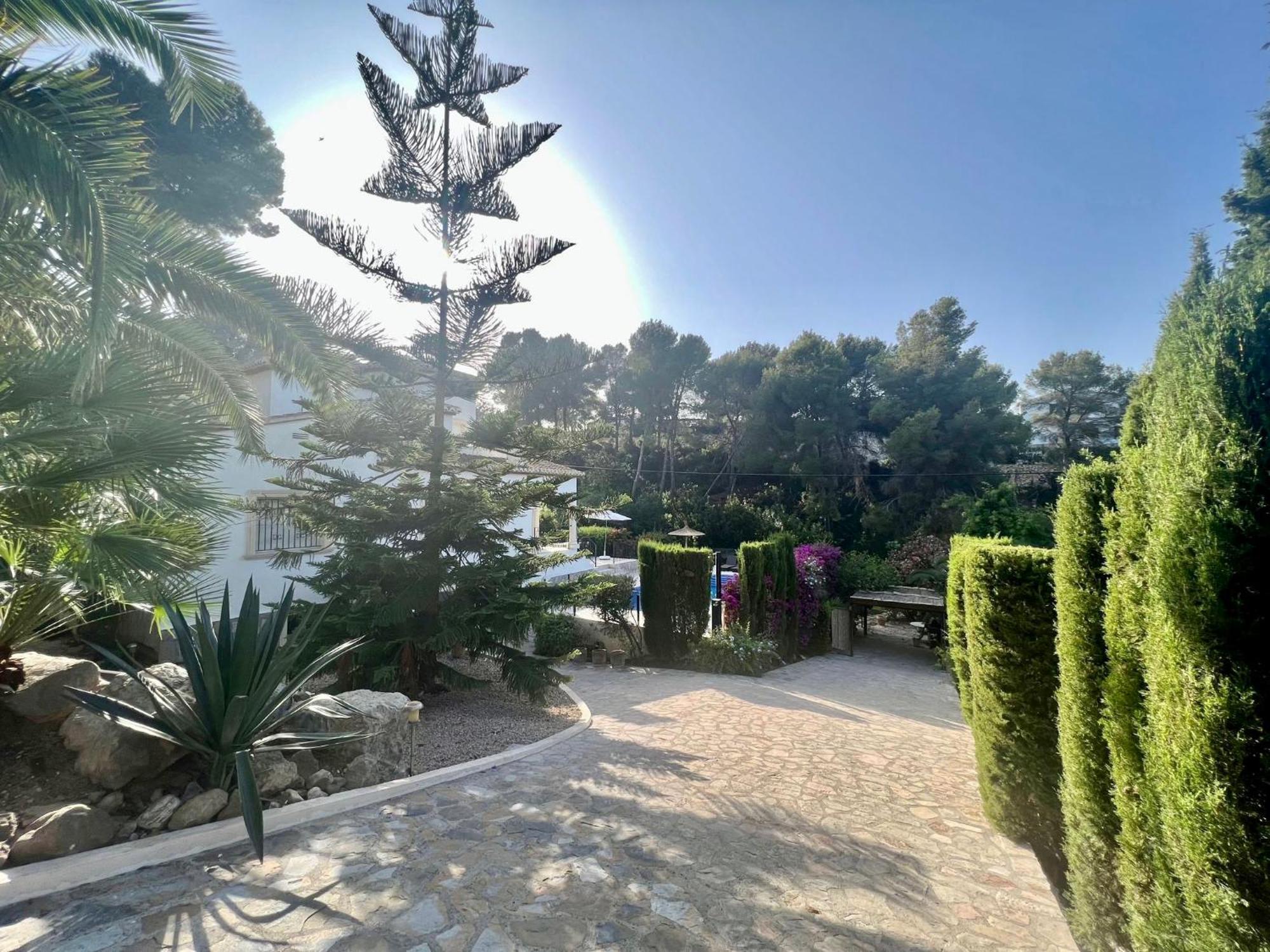 Palmera Jávea Екстериор снимка
